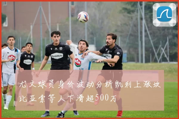 尤文球员身价波动分析凯利上涨坎比亚索等人下滑超500万